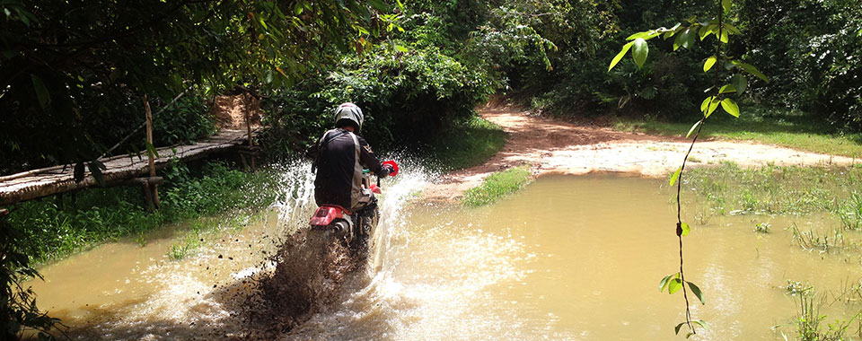 Flooded forest near Siem Reap.