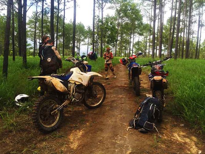 dirt-bike-tours-cambodia-kirirom-trees