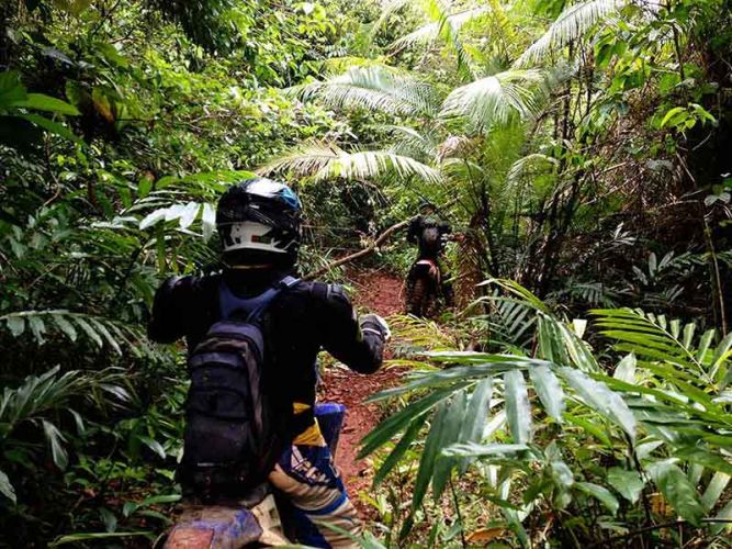 dirt-bike-tours-cambodia-foilage