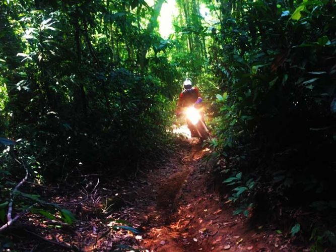 dirt-bike-tours-cambodia-kulen-single-track