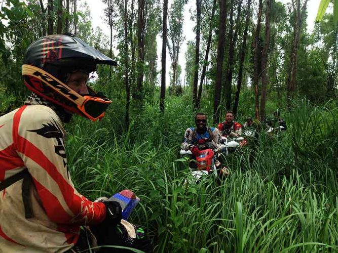 dirt-bike-tours-cambodia-elephant-grass